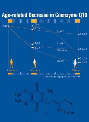 Coenzyme Q10 Extra