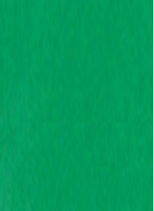  Paint for pad/screen printing (green/glossy) 1kg