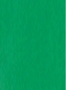  Paint for pad printing / screen printing (green / matte) 1kg