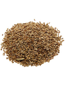 Ajowain (Ajwain, Ajowan) Oil