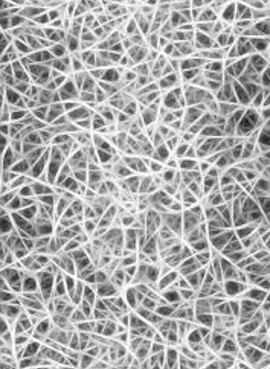 Hydroxyapatite (Lamellar From Nature)