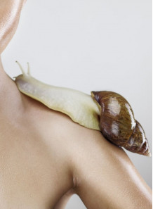The Real Snail™ (Freeze-dried snail secretion)
