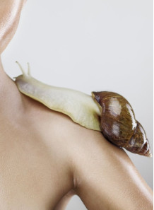  The Real Snail™ (Freeze-dried snail secretion)