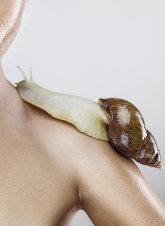 The Real Snail™ (Freeze-dried snail secretion)