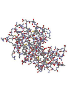  White Egg Enzyme (Acnezyme™)