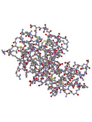 White Egg Enzyme (Acnezyme™)