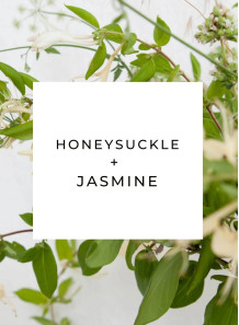 Honeysuckle & Jasmine (Benchmark - Jo Malone)