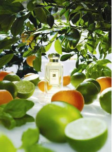 Lime Basil & Mandarin (Benchmark - Jo Malone)