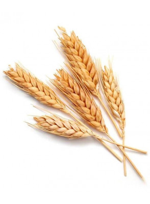 Hair Wheat Protein (Hydroxypropyltrimonium Hydrolyzed Wheat Protein)