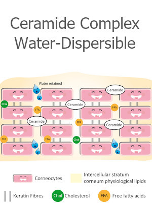 Ceramide Complex (Water Dispersible Powder)