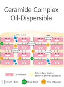  Ceramide Complex (Water/Oil Dispersible Powder)