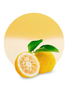  Citrus Junos (Yuzu) Peel Oil