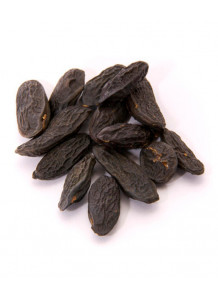 Magnolia Absolute
