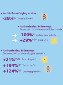 PalGLY (Palmitoyl Glycine)