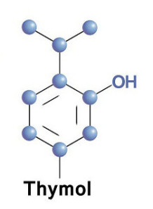  Thymol (crystal)