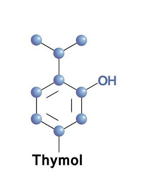 Thymol (crystal)