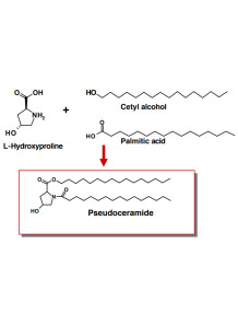 Pseudoceramide...