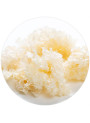 Snow Mushroom Hyaluron