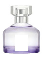 White Musk (Benchmark - Body Shop)
