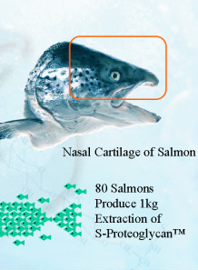 Salmon Proteoglycan