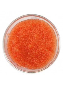 Pink Jojoba/Trehalose Beads 5mm ใหญ่