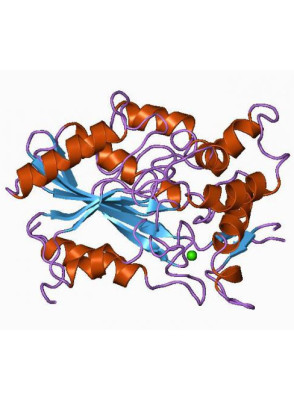 Does Hers Weight Loss Medication Really Work?