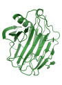  Stabilized Cellulase Enzyme (Soften Fabric, Liquid)