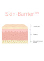 Skin-Barrier™ (Skin Mimic Ceramides Liposome)