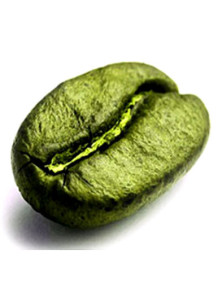  Green Coffee Bean Extract (เมล็ดกาแฟสดสีเขียว) (Total acids 50%)