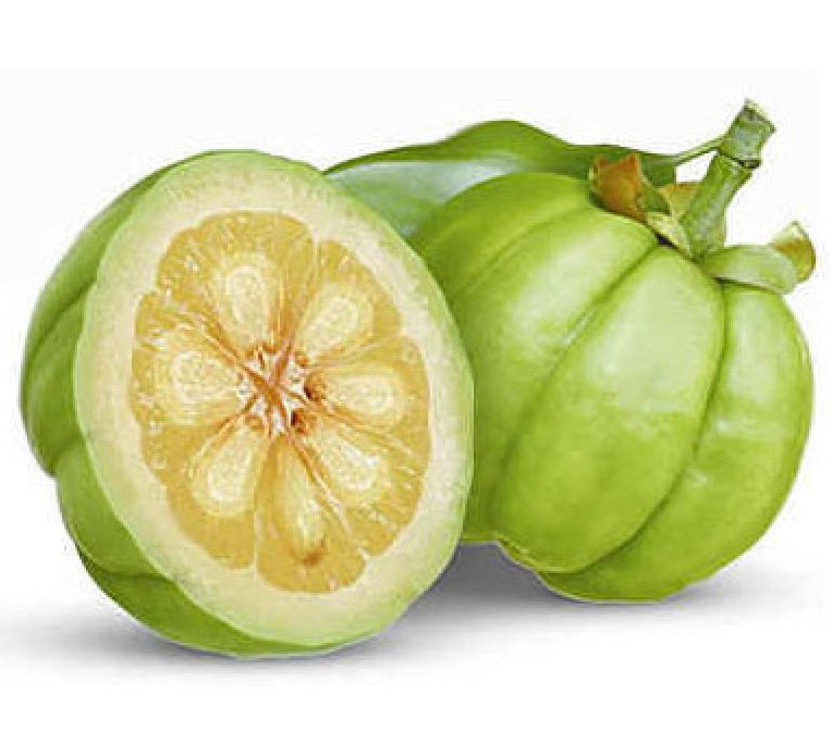 Garcinia cambogia Extract (60% Hydroxycitric Acid)
