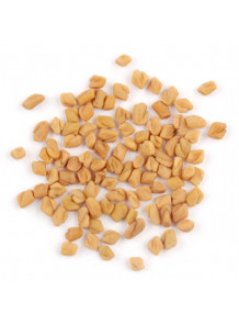 Fenugreek Seed (ลูกซัด) Extract