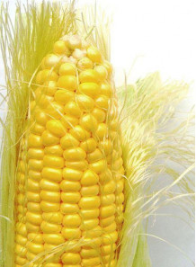 Soluble Corn Fiber (Resistant Dextrin)