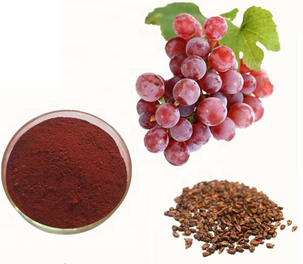 Grape Seed Extract (Proanthocyanidins 98%) สารสกัดเมล็ดองุ่น