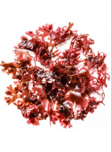 Astaxanthin แอสตาแซนธิน จากสาหร่ายสีแดง (5%)