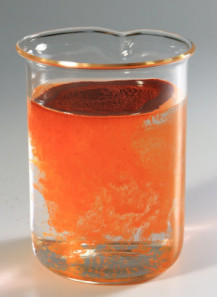 Astaxanthin แอสตาแซนธิน จากสาหร่ายสีแดง (2% ละลายน้ำ)