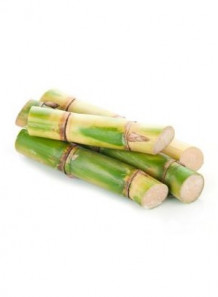 Sugarcane Extract (Policosanol)