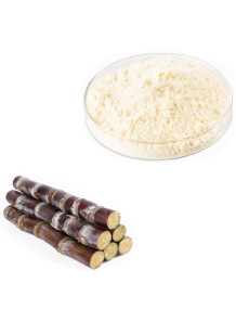  Sugarcane Extract (Policosanol 50%)