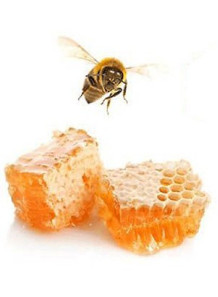 Royal jelly extract...