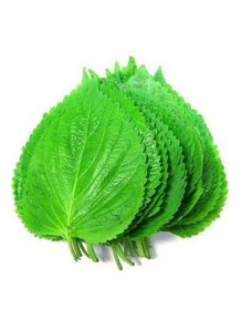  Perilla Leaf Extract สารสกัด งาขี้ม่อน