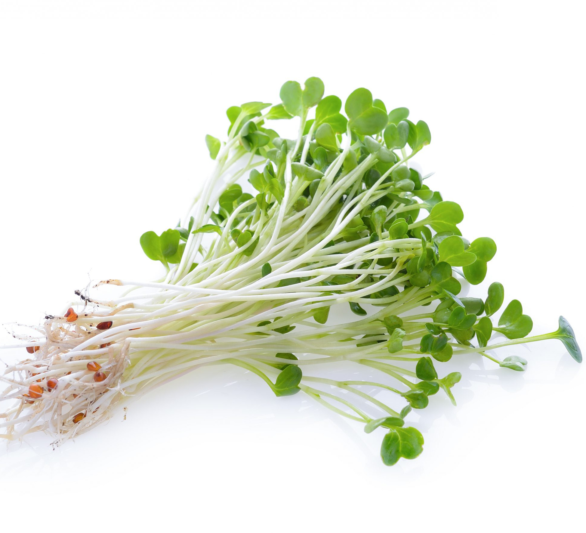 InflamCare™ Alfalfa Extract สารสกัด แอลแฟลฟา