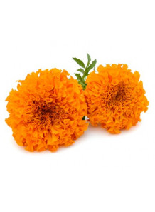 Marigold Extract (Lutein 5%)