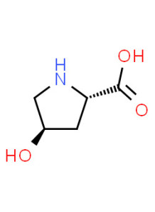  L-Hydroxyproline