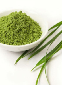 Barley Grass