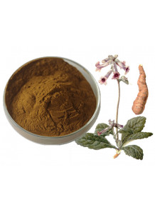 Rehmannia glutinosa extract สารสกัดจาก โกฐขี้แมว (เส็กตี่)