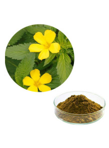 Damiana Extract สารสกัดจาก...