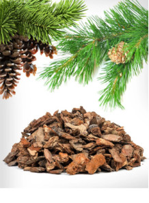  Pine Bark Extract (Proanthocyanidins 85%) extract from pine trees