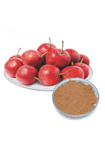  Hawthorn Powder ผง ฮอร์ธอร์น เบอร์รี่ ซานจา ซัวจา (Freeze-dried, Pure)