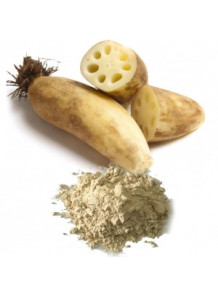  Lotus Root Powder (Air-dried, Pure)