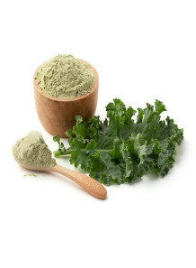  Kale Powder (Air-dried, Super-Fine, Pure)