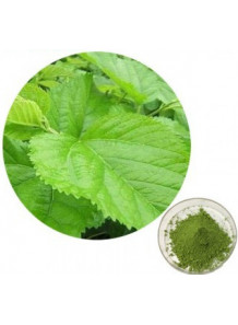 Mulberry (Green) Powder (Freeze-dried, Pure)